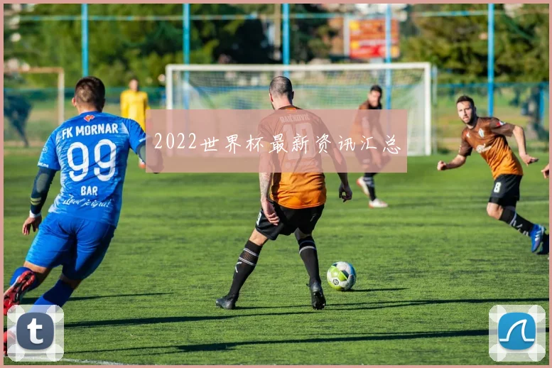 2022世界杯最新资讯汇总