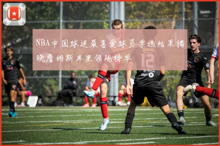 NBA中国球迷最喜爱球员票选结果揭晓詹姆斯库里领跑榜单