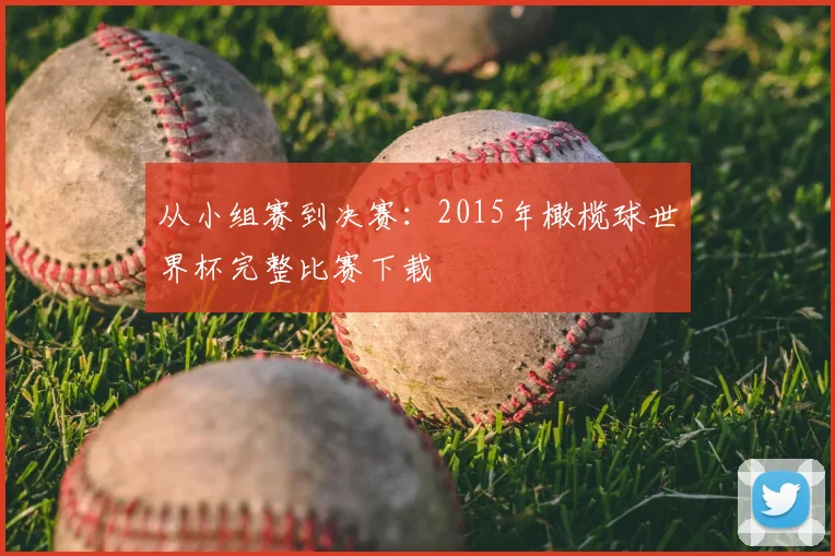 从小组赛到决赛:2015年橄榄球世界杯完整比赛下载