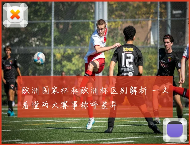 欧洲国家杯和欧洲杯区别解析 一文看懂两大赛事称呼差异