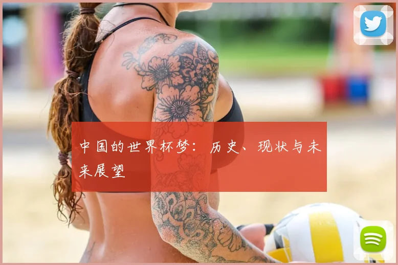 中国的世界杯梦:历史、现状与未来展望