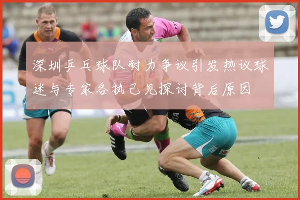 深圳乒乓球队耐力争议引发热议球迷与专家各执己见探讨背后原因