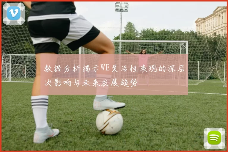 数据分析揭示WE灵活性表现的深层次影响与未来发展趋势