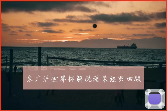 朱广沪世界杯解说语录经典回顾