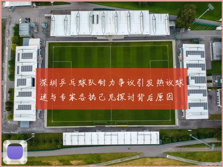 深圳乒乓球队耐力争议引发热议球迷与专家各执己见探讨背后原因