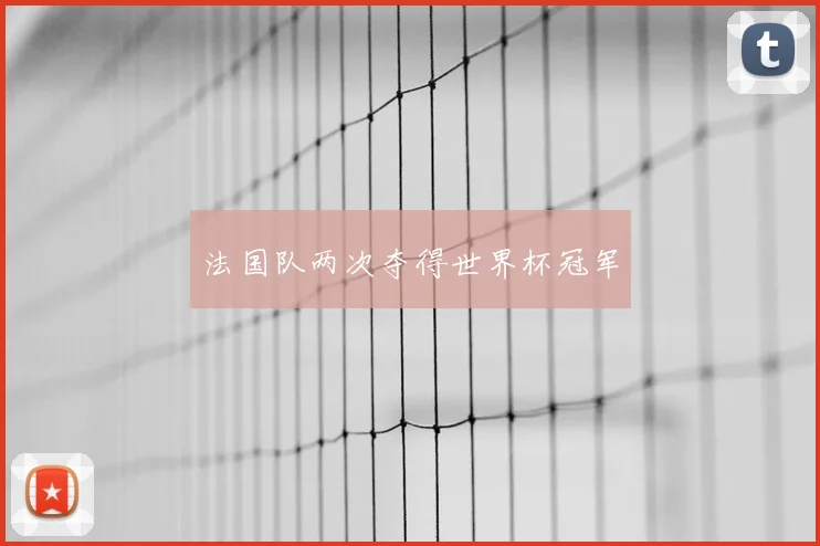 法国队两次夺得世界杯冠军