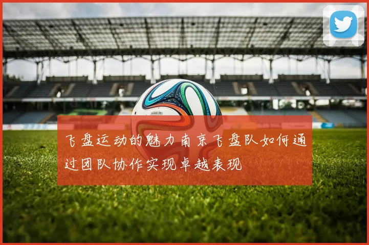 飞盘运动的魅力南京飞盘队如何通过团队协作实现卓越表现