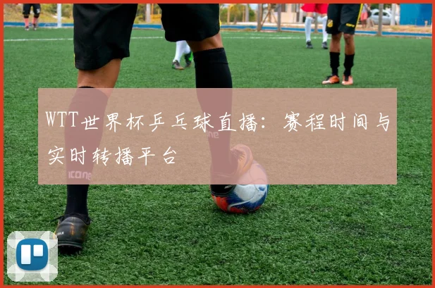WTT世界杯乒乓球直播：赛程时间与实时转播平台