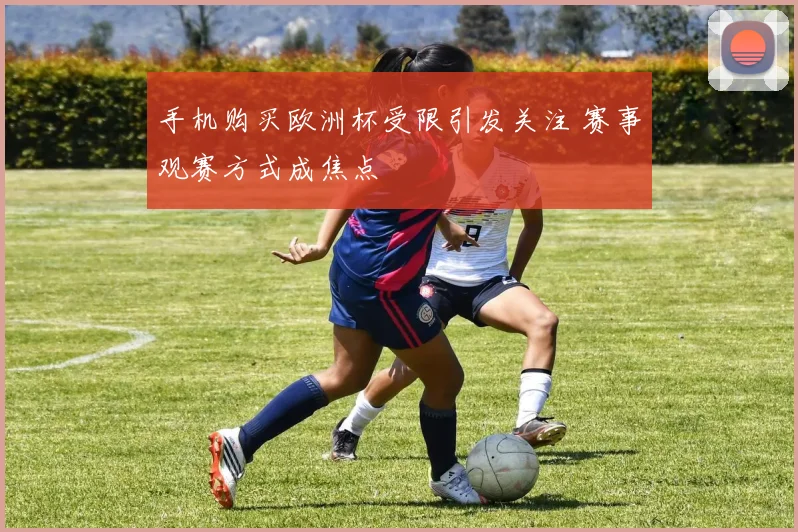 手机购买欧洲杯受限引发关注 赛事观赛方式成焦点