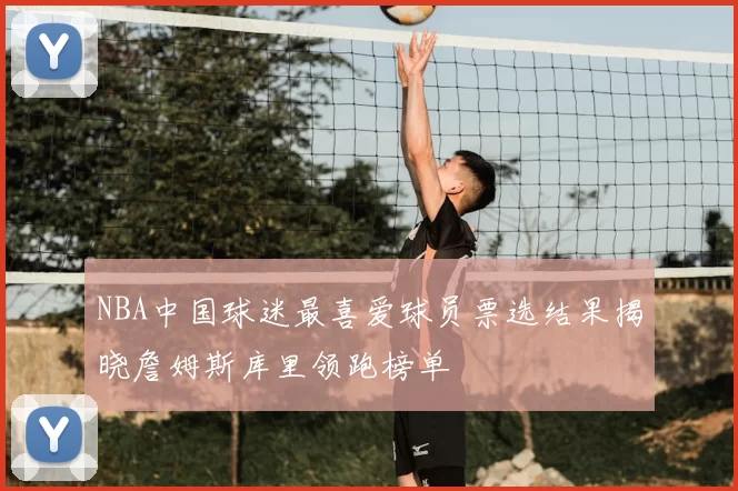 NBA中国球迷最喜爱球员票选结果揭晓詹姆斯库里领跑榜单