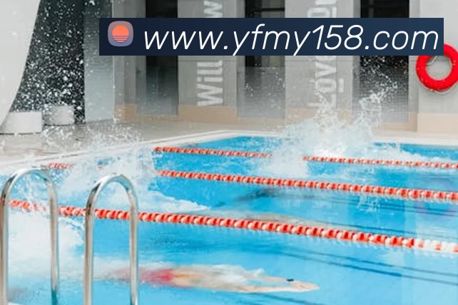 未来规划